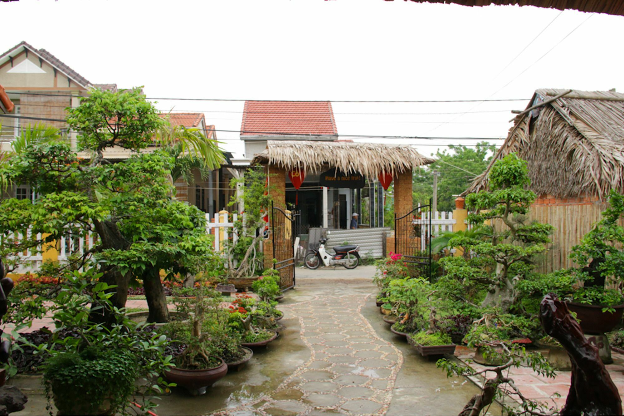 The Grass Vy Apartment ฮอยอัน ภายนอก รูปภาพ