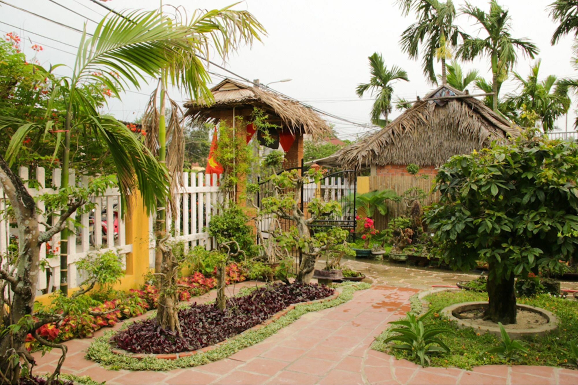The Grass Vy Apartment ฮอยอัน ภายนอก รูปภาพ
